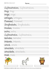 DSS_2S_Bu_tr_Nr_01.pdf